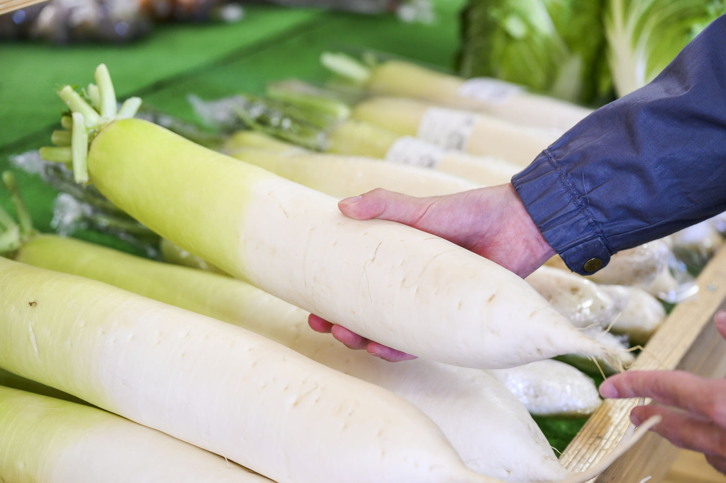 【福岡県糸島市】 糸島産 旬の野菜盛り合わせセット